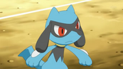 EP766 Riolu de Kotetsu.png