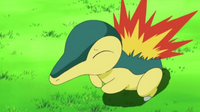 EP651 Cyndaquil de Ash