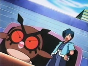 EP133 Hoothoot de Pegaso.png