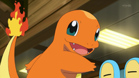 EP843 Charmander de Trovato.png