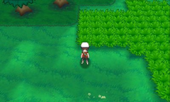 Bosque espejismo Ciudad Calagua.png