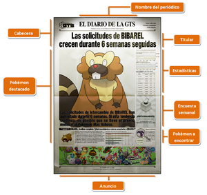 DGTS Partes señaladas.png