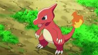 EP778 Charmeleon de Ash.png