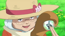 EP838 Maple.png