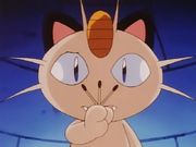 EP066 Meowth sujetando cerillas consumidas.png
