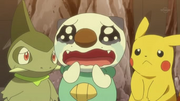 EP759 Oshawott llorando.png