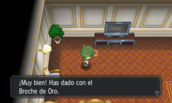 Objetos perdidos XY.png