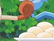EP254 Wynaut oculto.png