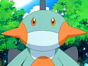 EP425 Marshtomp de Brock.png