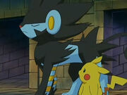 EP528 Luxray de Marble junto al Pikachu de Ash.jpg