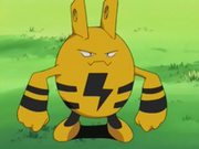 EP263 Elekid (2).png