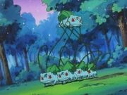 EP051 Secuestro del Bulbasaur de Ash.jpg