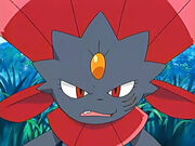 EP462 Weavile 1.jpg