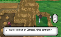 Combate aéreo XY.png