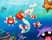 EP061 Shellder de Daisy.png