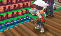 Bruno usando el detector Devon ROZA.png