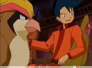 P01 Pidgeot de Gary.jpg