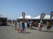 Moviplaya 2008.jpg