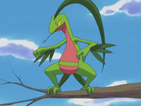EP342 Grovyle de Ash.png