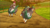 EP857 Carrera de Skiddo.png