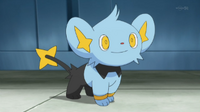 EP852 Shinx de Lem