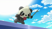 EP851 Pancham baboseando.png