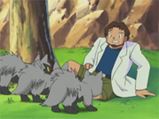 EP277 Abedul y Poochyena.png