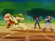 EP228 Arcanine de Gary vs Bayleef de Ash.png