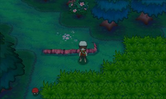 Bosque espejismo ruta 109.png