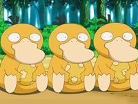 EP556 Psyduck con los huevos.png