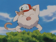EP025 Mankey de Ash.png