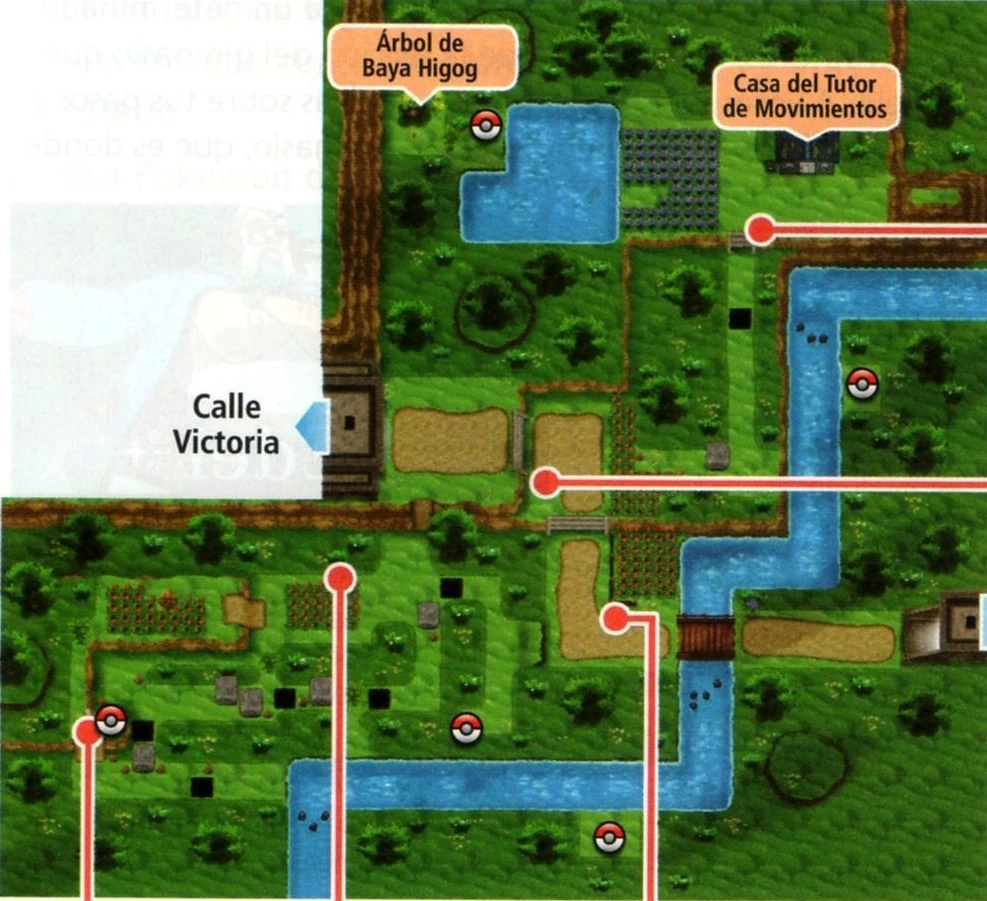 Ruta 21 (Kalos) WikiDex FANDOM powered by Wikia