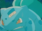 EP051 Bulbasaur evolucionando.png