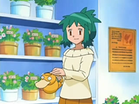 EP494 Forsythia.png