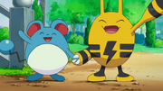 EP606 Marill y Elekid.png