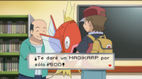 PO02 Magikarp de Rojo.png