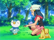 EP470 Piplup rechaza la comida.png