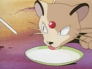 EP068 Persian bebiendo leche.png