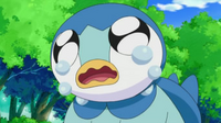 EP606 Piplup llorando.png