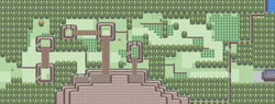 Ruta 215.png