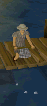 Fishing with Net