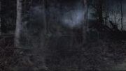 200px-Shadow.jpg
