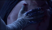 200px-Wraith Feeding.jpg