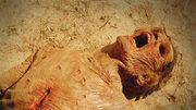 200px-WraithFeeding2.jpg