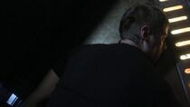 Pain 01.jpg