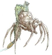 KnobbySpiderMorp-woswfg-1-.jpg