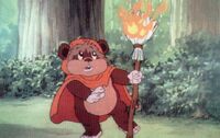 Wicket fire.jpg