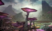 Felucia dawn.jpg