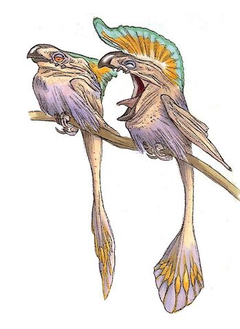 Archivo:Neeko.jpg