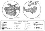 Lianna terrain.jpg